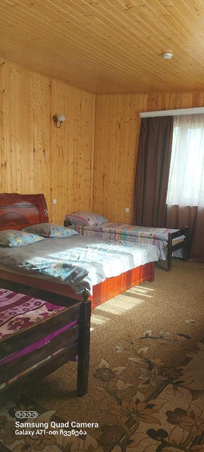 Guest House Sabauri كازباجي المظهر الخارجي الصورة