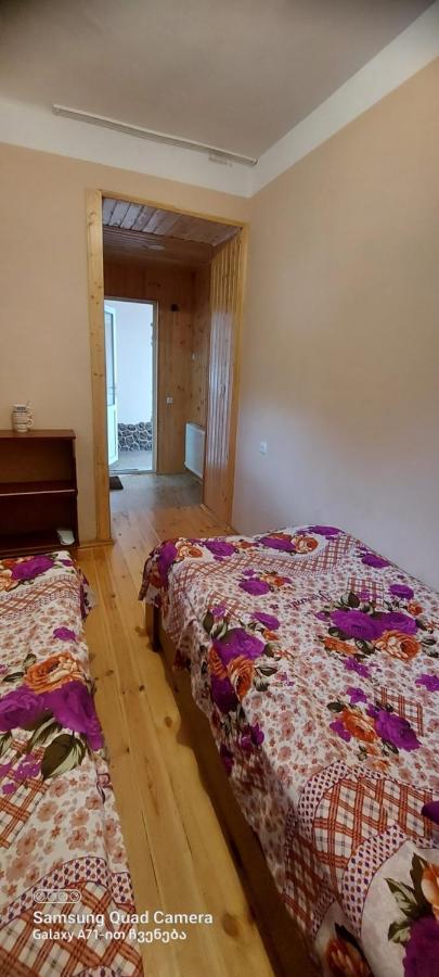Guest House Sabauri كازباجي المظهر الخارجي الصورة
