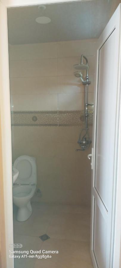 Guest House Sabauri كازباجي المظهر الخارجي الصورة