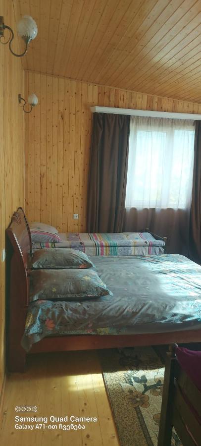 Guest House Sabauri كازباجي المظهر الخارجي الصورة