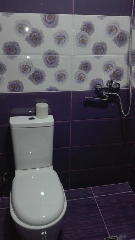 Guest House Sabauri كازباجي المظهر الخارجي الصورة